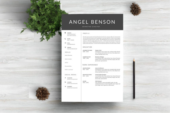 Download Creative Resume Template - Premium Bundle